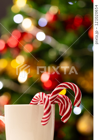 Vertical image of mug with candy canes and christmas tree with fairy lights and copy space Vertical image of mug with candy canes and christmas tree with fairy lights and copy space 121020654