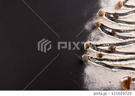 Anis seeds and christmas tree shape in flour with copy space on black background 121020729