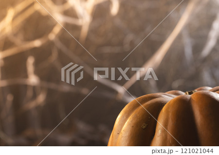 Pumpkin and spiderweb decorations with copy space on black background 121021044