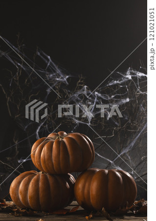 Vertical image of pumpkins and spiderweb decorations with copy space on black background Vertical image of pumpkins and spiderweb decorations with copy space on black background 121021051