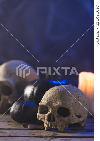 Vertical image of pumpkins, skulls and candle with copy space on black background 121021097