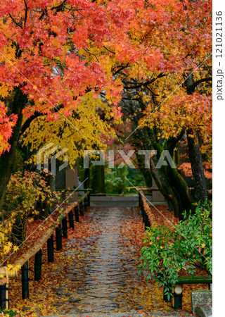 光悦寺の紅葉_9798 121021136
