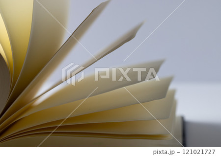 Micro of notebook pages and copy space on grey background Micro of notebook pages and copy space on grey background 121021727