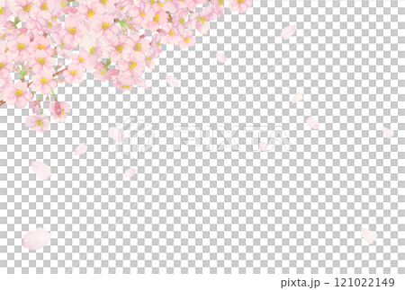 Hand-painted watercolor painting: Cherry blossom snowstorm background in the upper left, cutout, with branches and buds 121022149