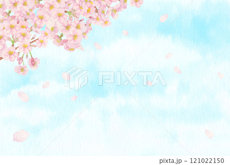 手描きの水彩画：爽やかな青空と左上に桜の背景　枝と蕾付き 121022150
