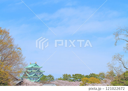 愛知県名古屋市、満開の桜と名古屋城の風景 121022672