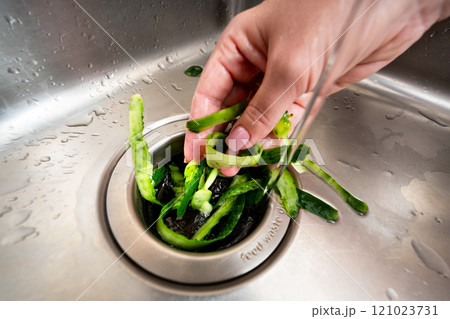 Disposing of fresh vegetable peelings in a kitchen sink garbage disposer under running water. Disposing of fresh vegetable peelings in a kitchen sink garbage disposer under running water. 121023731