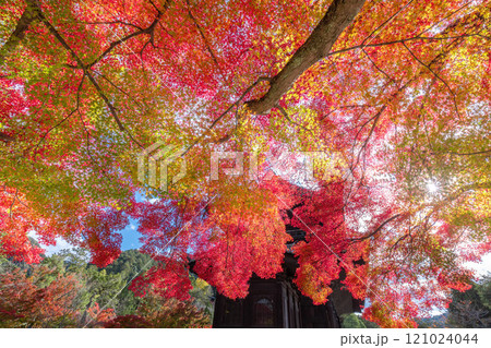 秋の南禅寺 秋の南禅寺 121024044