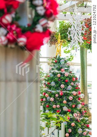 冬のはままつフラワーパーク、クリスマス展示〈静岡県浜松市〉 冬のはままつフラワーパーク、クリスマス展示〈静岡県浜松市〉 121024702