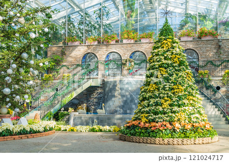 冬のはままつフラワーパーク、クリスマス展示〈静岡県浜松市〉 121024717