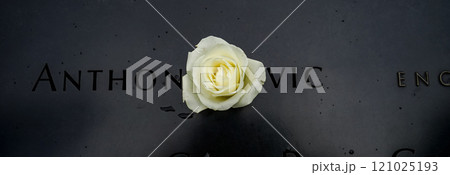 ニューヨークの追悼の白い花 ニューヨークの追悼の白い花 121025193