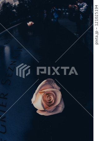 哀悼の白いバラ 哀悼の白いバラ 121025194