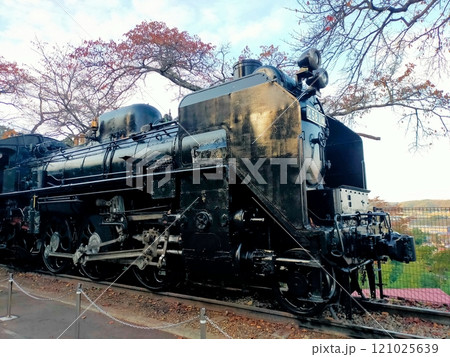 公園の改修中のSL 121025639