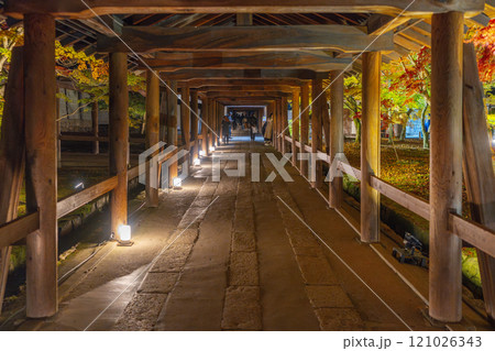 秋の京都東山　東福寺　紅葉ライトアップ 121026343
