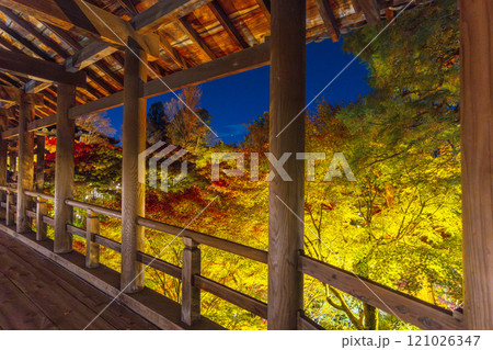 秋の京都東山　東福寺　紅葉ライトアップ 121026347