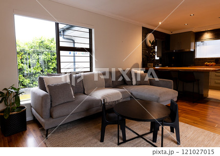 Cozy living room with modern gray sofa and stylish black coffee table, at home Cozy living room with modern gray sofa and stylish black coffee table, at home 121027015