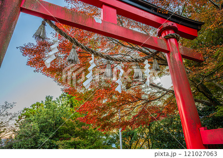 紅葉（高尾山薬王院） 121027063