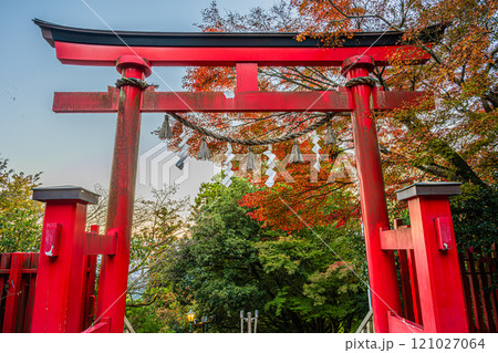 紅葉(高尾山薬王院) 紅葉(高尾山薬王院) 121027064