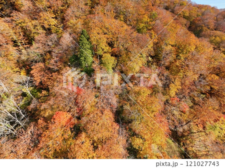 湯浜峠の紅葉 空撮 湯浜峠の紅葉 空撮 121027743