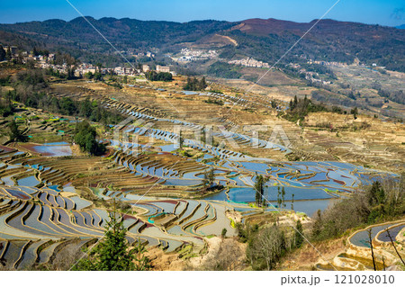 Aerial drone view of Yuanyang rice terrace at sunrise, Yunnan province, China Aerial drone view of Yuanyang rice terrace at sunrise, Yunnan province, China 121028010