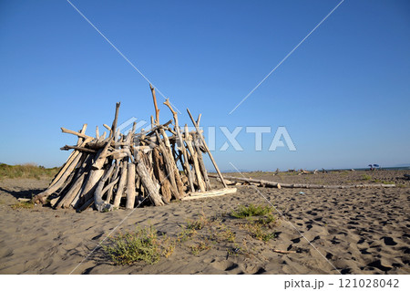 Washed up wood used to build wooden shelters against wind and sun on the beach near Marina di Grosseto, Tuscany, Italy 121028042