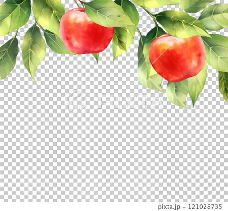 Background with red apples. Border for packaging, cards and posters. 121028735