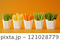 Colorful vegetable sticks in white paper boxes against orange background 121028779
