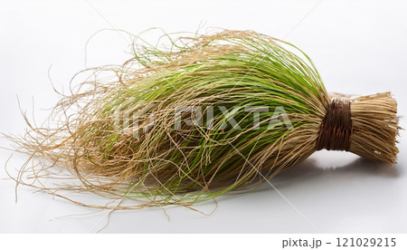 A bundle of dried grass is sitting on a white background 121029215