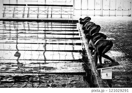 Swimmers ready to plunge Swimmers ready to plunge 121029291