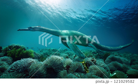 A large, long-necked creature swims through the ocean 121029582