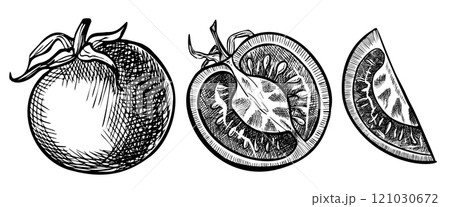 Tomato Cherry vector illustration. Drawing with slices of vegetarian vegetable painted by black inks in linear style. Engraving of plant for product label. Outline etching of food for icon or logo. 121030672