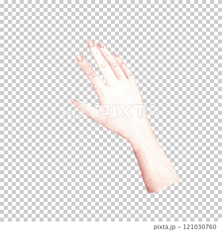 Woman right Hand. Watercolor hand drawn illustration in realistic style isolated on a white background. Design element of arm laying on or holding something. 121030760