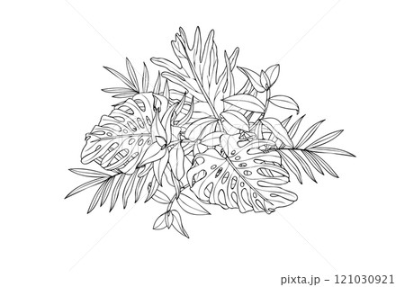 Monochrome tropical leaf bouquet vector illustration painted by black ink. Hand painted graphic palm, tradescantia and monstera foliage for design shops, print, greeting card, invitation, logo. Monochrome tropical leaf bouquet vector illustration painted by black ink. Hand painted graphic palm, tradescantia and monstera foliage for design shops, print, greeting card, invitation, logo. 121030921