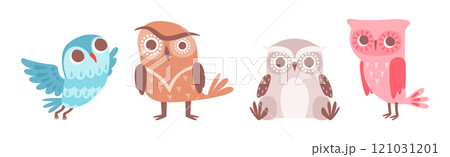 Cute Owl Bird with Feather and Wing Vector Set Cute Owl Bird with Feather and Wing Vector Set 121031201