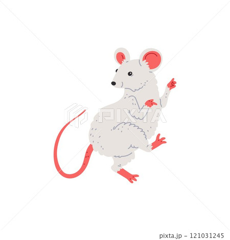 Vector illustration with a mouse with a long tail dancing joyfully on a white background. 121031245