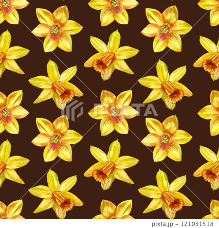 Yellow daffodils of different shapes, hand-painted in watercolor. Seamless watercolor pattern with daffodils on a dark brown background. For printing on cards, invitations, March 8, spring products Yellow daffodils of different shapes, hand-painted in watercolor. Seamless watercolor pattern with daffodils on a dark brown background. For printing on cards, invitations, March 8, spring products 121031518
