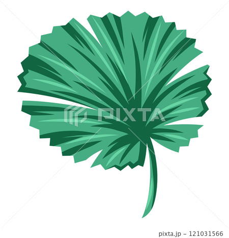 Stylized palm leaf. Decorative image of tropical foliage and plant. 121031566