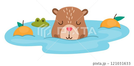 Vector capybara icon. Cute capibara swimming in pond with tangerines with closed eyes. Funny happy animal illustration isolated on white background. Comic trendy guinea pig clipart 121031633
