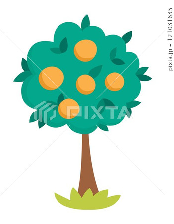 Vector tangerine tree icon. Hand drawn flat citrus fruit plant with green leaves illustration. Cartoon orange bush clipart isolated on white background 121031635