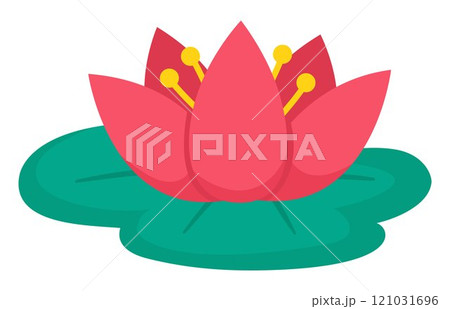 Vector water lily icon. Marsh flower on green pad clipart. Cute floral illustration isolated on white background Vector water lily icon. Marsh flower on green pad clipart. Cute floral illustration isolated on white background 121031696