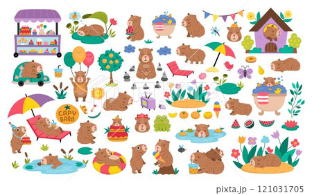 Big vector capybara set. Cute capibara animals collection with bath, fruit, reeds, birds. Funny guinea pigs meditating, sleeping, relaxing, swimming with tangerines, eating ice-cream, having fun 121031705