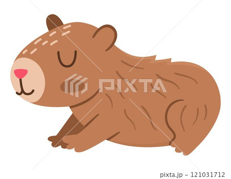 Vector capybara icon. Cute capibara sitting or lying with closed eyes. Funny happy animal illustration isolated on white background. Comic trendy guinea pig clipart 121031712