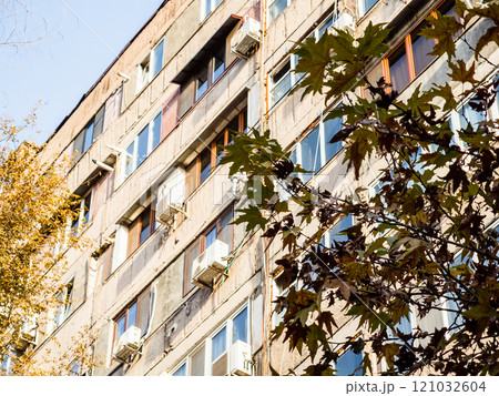 sycamore leaves and urban house on background sycamore leaves and urban house on background 121032604