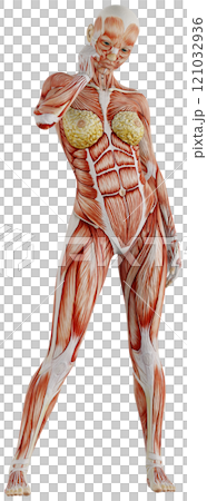 Posing female muscular body, transparent background Posing female muscular body, transparent background 121032936