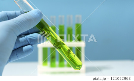Biotechnology lab. Plant sprout in a test tube. Scientific laboratory and bioengineering Biotechnology lab. Plant sprout in a test tube. Scientific laboratory and bioengineering 121032968