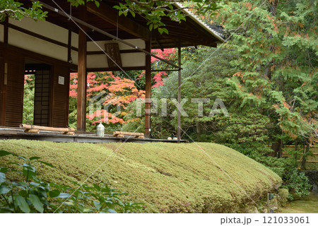 妙心寺塔頭桂春院　秋の真如の庭(京都市右京区) 121033061