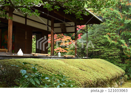 妙心寺塔頭桂春院 秋の真如の庭(京都市右京区) 妙心寺塔頭桂春院 秋の真如の庭(京都市右京区) 121033063