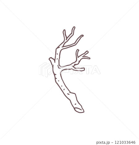 Vector illustration with doodle style tree branch sketch. 121033646