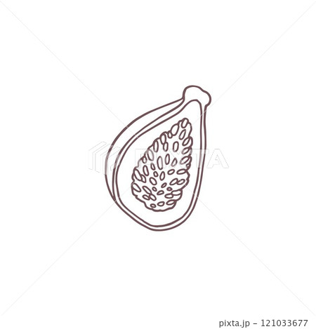 Vector illustration with sketch image of half of fig fruit. Vector illustration with sketch image of half of fig fruit. 121033677