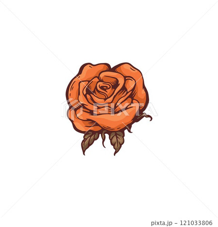 Vector illustration of a rose flower in sketch style, detailed leaves and petals. Vector illustration of a rose flower in sketch style, detailed leaves and petals. 121033806